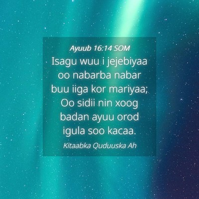 Picture 04 - Ayuub 16:14 SOM - Isagu wuu i jejebiyaa oo nabarba nabar buu iiga - Bible Verse Picture