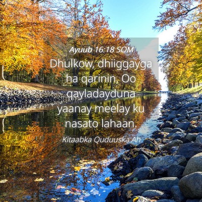 Picture 04 - Ayuub 16:18 SOM - Dhulkow, dhiiggayga ha qarinin, Oo qayladayduna - Bible Verse Picture