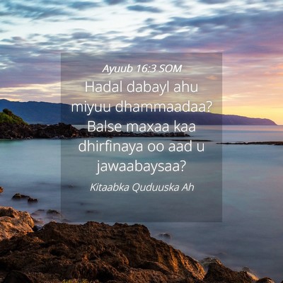 Picture 04 - Ayuub 16:3 SOM - Hadal dabayl ahu miyuu dhammaadaa? Balse maxaa - Bible Verse Picture