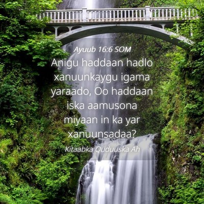 Picture 04 - Ayuub 16:6 SOM - Anigu haddaan hadlo xanuunkaygu igama yaraado, Oo - Bible Verse Picture