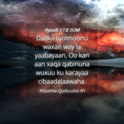 Picture 04 - Ayuub 17:8 SOM - Dadkii toolmoonu waxan way la yaabayaan, Oo kan - Bible Verse Picture