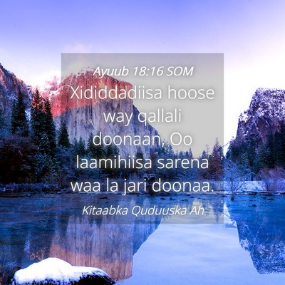 Picture 04 - Ayuub 18:16 SOM - Xididdadiisa hoose way qallali doonaan, Oo - Bible Verse Picture