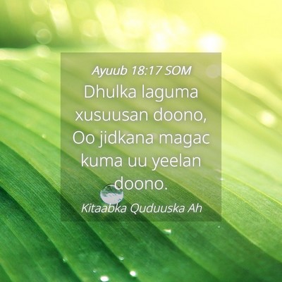 Picture 04 - Ayuub 18:17 SOM - Dhulka laguma xusuusan doono, Oo jidkana magac - Bible Verse Picture