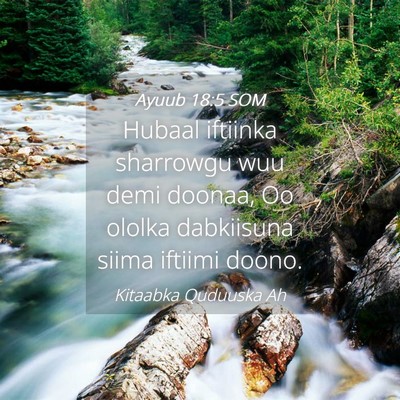Picture 04 - Ayuub 18:5 SOM - Hubaal iftiinka sharrowgu wuu demi doonaa, Oo - Bible Verse Picture