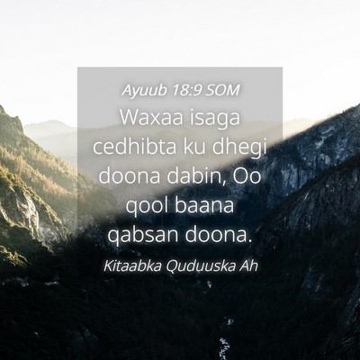 Picture 04 - Ayuub 18:9 SOM - Waxaa isaga cedhibta ku dhegi doona dabin, Oo - Bible Verse Picture
