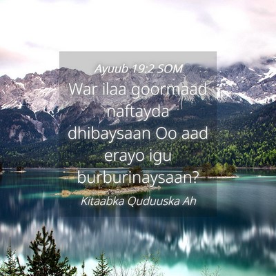Picture 04 - Ayuub 19:2 SOM - War ilaa goormaad naftayda dhibaysaan Oo aad - Bible Verse Picture