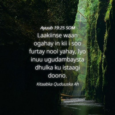 Picture 04 - Ayuub 19:25 SOM - Laakiinse waan ogahay in kii i soo furtay nool - Bible Verse Picture