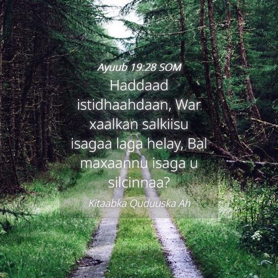 Picture 04 - Ayuub 19:28 SOM - Haddaad istidhaahdaan, War xaalkan salkiisu - Bible Verse Picture