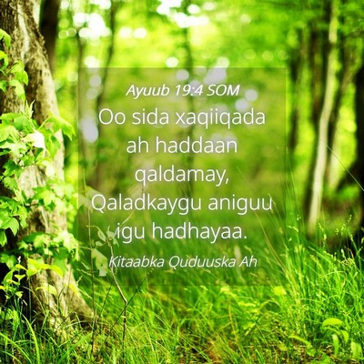 Picture 04 - Ayuub 19:4 SOM - Oo sida xaqiiqada ah haddaan qaldamay, Qaladkaygu - Bible Verse Picture