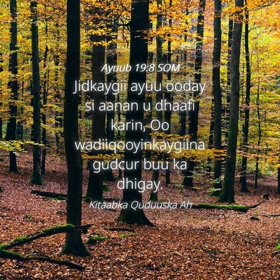 Picture 04 - Ayuub 19:8 SOM - Jidkaygii ayuu ooday si aanan u dhaafi karin, Oo - Bible Verse Picture