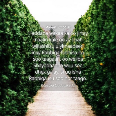 Picture 04 - Ayuub 2:1 SOM - Haddaba waxaa kaloo jirtay maalin kale oo ay - Bible Verse Picture