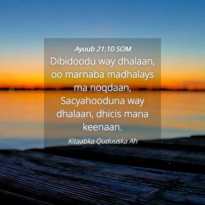 Picture 04 - Ayuub 21:10 SOM - Dibidoodu way dhalaan, oo marnaba madhalays ma - Bible Verse Picture