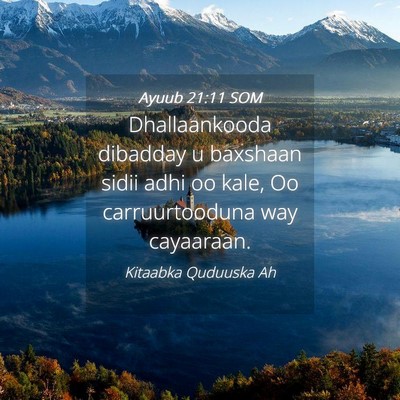 Picture 04 - Ayuub 21:11 SOM - Dhallaankooda dibadday u baxshaan sidii adhi oo - Bible Verse Picture