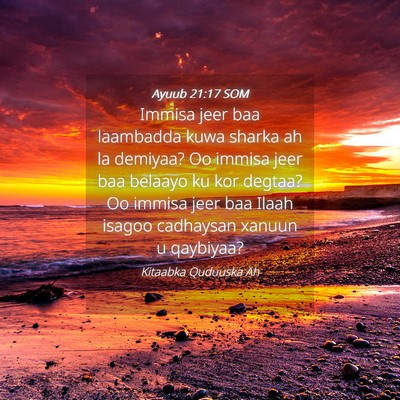 Picture 04 - Ayuub 21:17 SOM - Immisa jeer baa laambadda kuwa sharka ah la - Bible Verse Picture