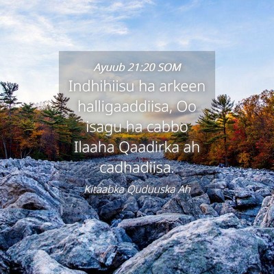Picture 04 - Ayuub 21:20 SOM - Indhihiisu ha arkeen halligaaddiisa, Oo isagu ha - Bible Verse Picture