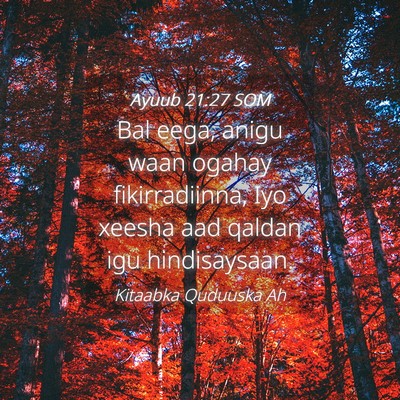 Picture 04 - Ayuub 21:27 SOM - Bal eega, anigu waan ogahay fikirradiinna, Iyo - Bible Verse Picture