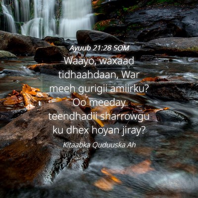 Picture 04 - Ayuub 21:28 SOM - Waayo, waxaad tidhaahdaan, War meeh gurigii - Bible Verse Picture