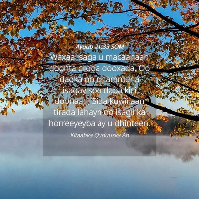 Picture 04 - Ayuub 21:33 SOM - Waxaa isaga u macaanaan doonta ciidda dooxada, Oo - Bible Verse Picture