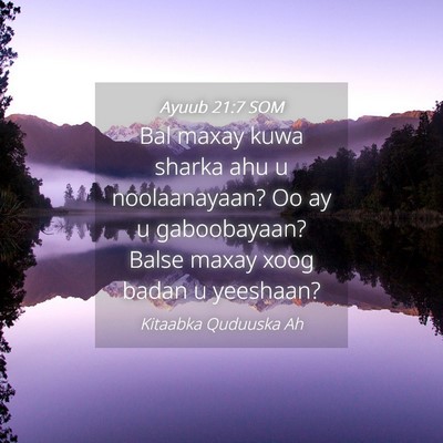 Picture 04 - Ayuub 21:7 SOM - Bal maxay kuwa sharka ahu u noolaanayaan? Oo ay u - Bible Verse Picture