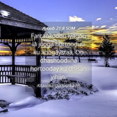 Picture 04 - Ayuub 21:8 SOM - Farcankoodu iyagoo la jooga hortooduu ku - Bible Verse Picture