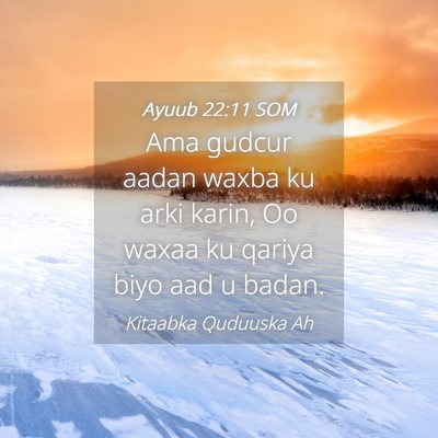 Picture 04 - Ayuub 22:11 SOM - Ama gudcur aadan waxba ku arki karin, Oo waxaa ku - Bible Verse Picture