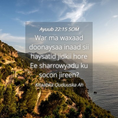 Picture 04 - Ayuub 22:15 SOM - War ma waxaad doonaysaa inaad sii haysatid jidkii - Bible Verse Picture