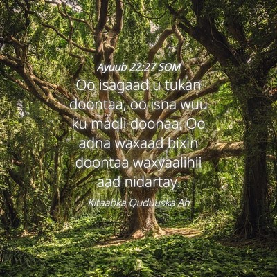 Picture 04 - Ayuub 22:27 SOM - Oo isagaad u tukan doontaa, oo isna wuu ku maqli - Bible Verse Picture