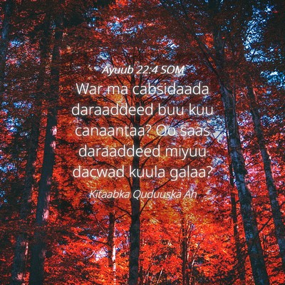 Picture 04 - Ayuub 22:4 SOM - War ma cabsidaada daraaddeed buu kuu canaantaa? - Bible Verse Picture