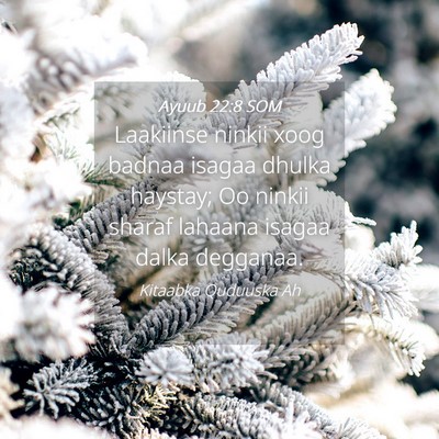 Picture 04 - Ayuub 22:8 SOM - Laakiinse ninkii xoog badnaa isagaa dhulka - Bible Verse Picture