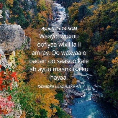 Picture 04 - Ayuub 23:14 SOM - Waayo, wuxuu oofiyaa wixii la ii amray, Oo - Bible Verse Picture