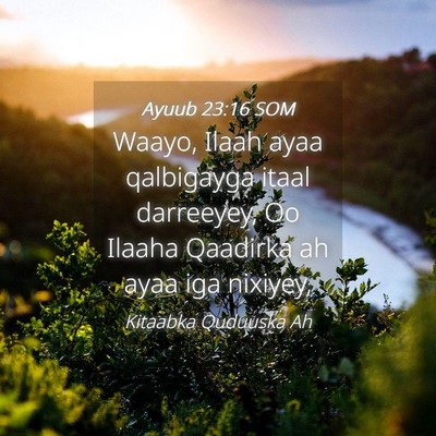 Picture 04 - Ayuub 23:16 SOM - Waayo, Ilaah ayaa qalbigayga itaal darreeyey, Oo - Bible Verse Picture