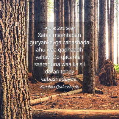 Picture 04 - Ayuub 23:2 SOM - Xataa maantadan guryankayga cabashada ahu waa - Bible Verse Picture