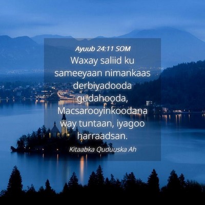 Picture 04 - Ayuub 24:11 SOM - Waxay saliid ku sameeyaan nimankaas derbiyadooda - Bible Verse Picture
