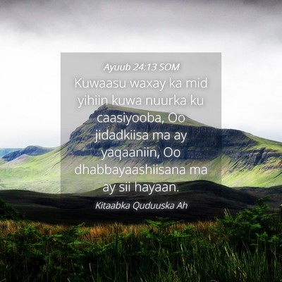 Picture 04 - Ayuub 24:13 SOM - Kuwaasu waxay ka mid yihiin kuwa nuurka ku - Bible Verse Picture