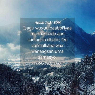Picture 04 - Ayuub 24:21 SOM - Isagu wuxuu baabbi'iyaa madhashada aan carruurta - Bible Verse Picture
