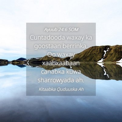 Picture 04 - Ayuub 24:6 SOM - Cuntadooda waxay ka goostaan berrinka, Oo waxay - Bible Verse Picture