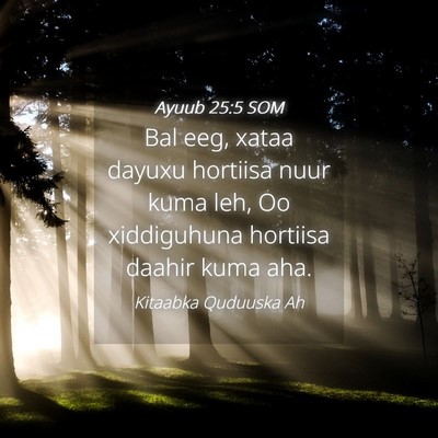 Picture 04 - Ayuub 25:5 SOM - Bal eeg, xataa dayuxu hortiisa nuur kuma leh, Oo - Bible Verse Picture