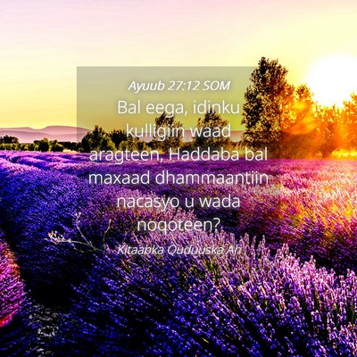 Picture 04 - Ayuub 27:12 SOM - Bal eega, idinku kulligiin waad aragteen, Haddaba - Bible Verse Picture