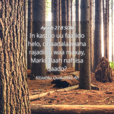 Picture 04 - Ayuub 27:8 SOM - In kastoo uu faa'iido helo, cibaadalaawaha - Bible Verse Picture