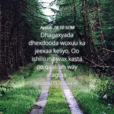 Picture 04 - Ayuub 28:10 SOM - Dhagaxyada dhexdooda wuxuu ka jeexaa keliyo, Oo - Bible Verse Picture