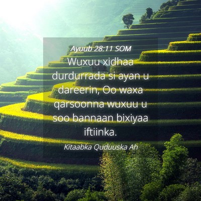 Picture 04 - Ayuub 28:11 SOM - Wuxuu xidhaa durdurrada si ayan u dareerin, Oo - Bible Verse Picture