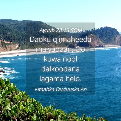 Picture 04 - Ayuub 28:13 SOM - Dadku qiimaheeda ma yaqaan, Oo kuwa nool - Bible Verse Picture