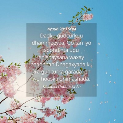 Picture 04 - Ayuub 28:3 SOM - Dadku gudcurkuu dhammeeyaa, Oo tan iyo soohdinta - Bible Verse Picture
