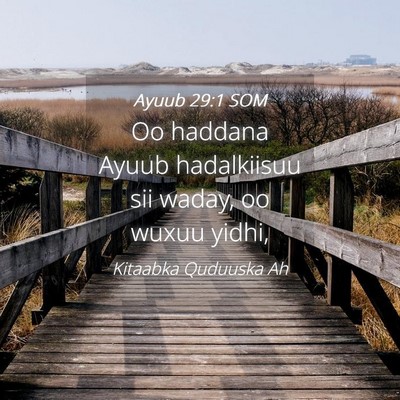 Picture 04 - Ayuub 29:1 SOM - Oo haddana Ayuub hadalkiisuu sii waday, oo wuxuu - Bible Verse Picture