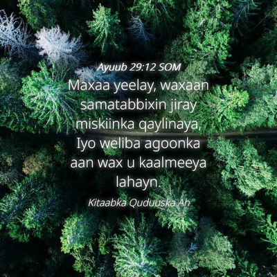 Picture 04 - Ayuub 29:12 SOM - Maxaa yeelay, waxaan samatabbixin jiray miskiinka - Bible Verse Picture