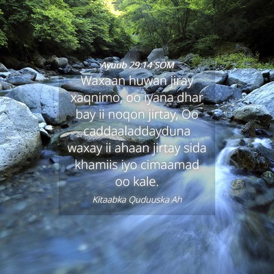 Picture 04 - Ayuub 29:14 SOM - Waxaan huwan jiray xaqnimo, oo iyana dhar bay ii - Bible Verse Picture