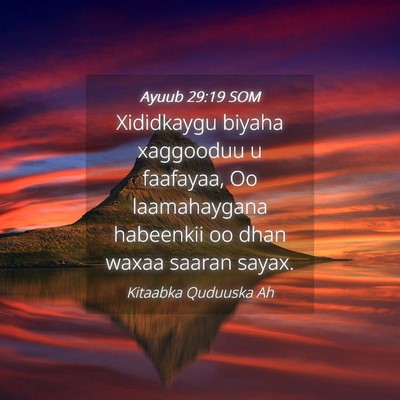 Picture 04 - Ayuub 29:19 SOM - Xididkaygu biyaha xaggooduu u faafayaa, Oo - Bible Verse Picture