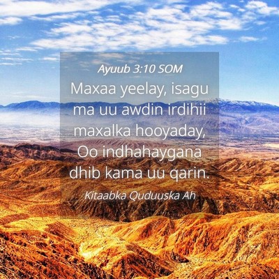 Picture 04 - Ayuub 3:10 SOM - Maxaa yeelay, isagu ma uu awdin irdihii maxalka - Bible Verse Picture