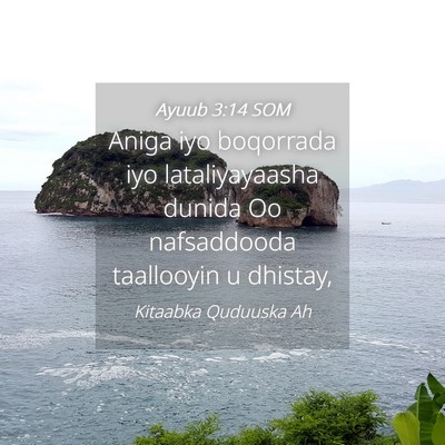 Picture 04 - Ayuub 3:14 SOM - Aniga iyo boqorrada iyo lataliyayaasha dunida Oo - Bible Verse Picture