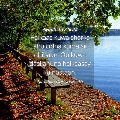 Picture 04 - Ayuub 3:17 SOM - Halkaas kuwa sharka ahu cidna kuma sii dhibaan, - Bible Verse Picture